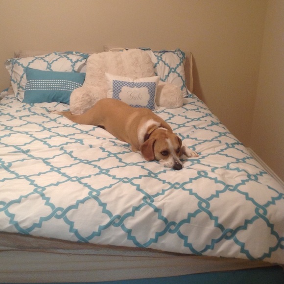 Meet your Posher, Gabriella - Picture 1 of 1